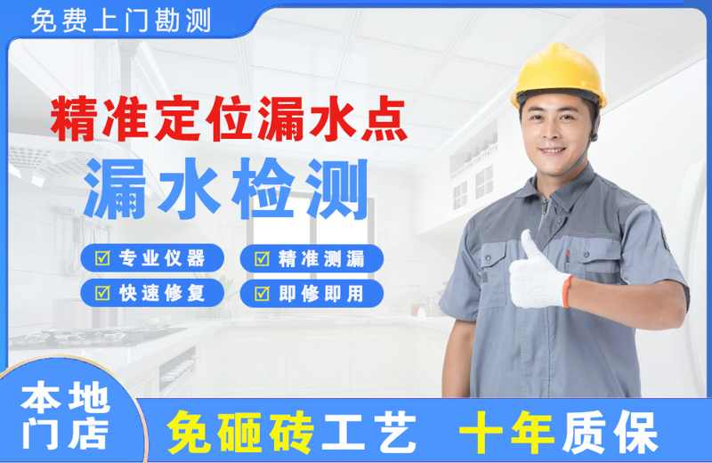 龙安精准测漏点